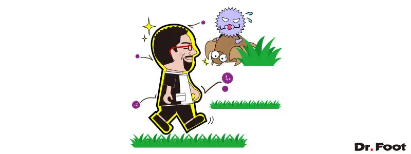 第20回マダニ感染症