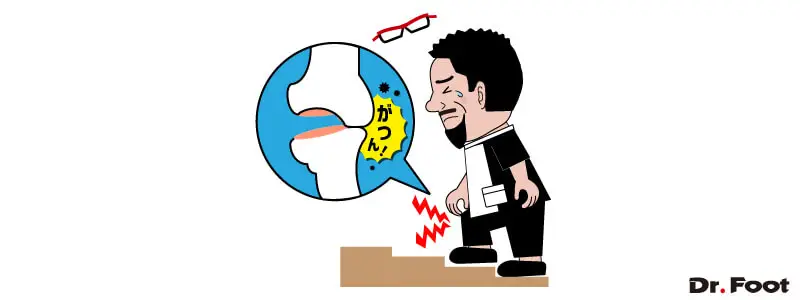 第30回変形性膝関節症