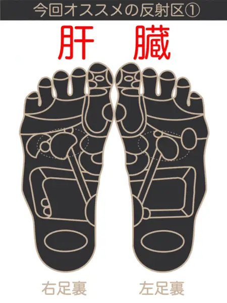 第3回冬のダイエット