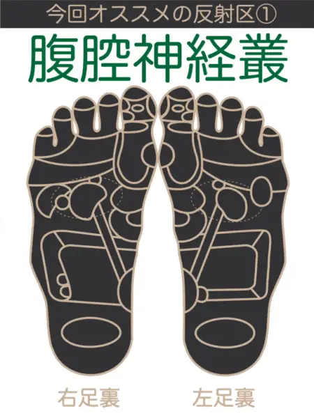 第4回冷え性